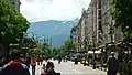 Boulevard Witoscha