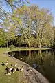 Alter Baumbestand und Weiher
