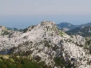 Der Vucji zub von der Bijela gora aus