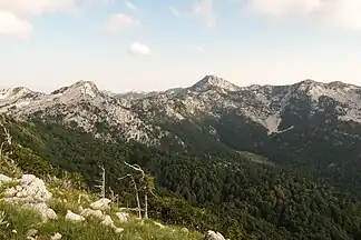 Zubački kabao und Vučji zub von der Velika Jastrebica
