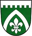 Wappen von Vyskeř