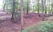 Vier Wälle zwischen Kleinem Stadtsee und dem Eichsee / Zippelower Bachtal