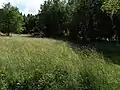 Versteck für die Quellen unter Waldkindergarten