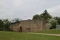 Ruine der karolingische Motte