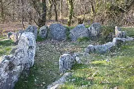 Mané-Bogad