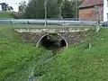Die Böber in Bolleroda