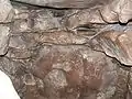 Eine der Südkammern