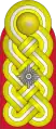 Schulterstück(Heer)