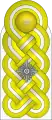 Schulterstück(Luftwaffe)