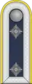 Oberfeldwebel der Luftwaffe