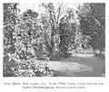 Studien mit Pfeffer, Vanille und Muskatnuss im Versuchsgarten der Station Viktoria, vor 1905