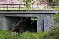 Durchfluss unter Bundesautobahn 4 bei Leppersdorf nahe dem ehemaligen Röderbad
