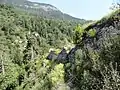 Beringrest im Westen