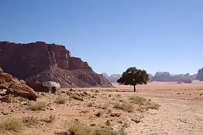 Wadi Rum, Lawrence spring