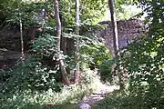 Tor der Burgruine Wagegg