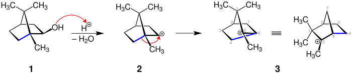 Mechanismus der Dehydratisierung von Isoborneol (Teil 1)