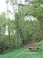 Nach der Sprengung durch die deutsche Wehrmacht 1945 ist die Brücke eine Ruine.