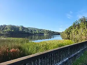 Blick von der Westseite des Sees nach Süden