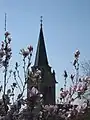 Der Häslacher Kirchturm zwischen Magnolienblüten