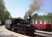 Dampfzug mit der Lok 99 3317