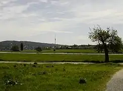 Blick von unterhalb des Waldschlösschens über die Elbe zum Käthe-Kollwitz-Ufer