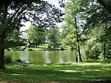 Der „Waldsee“,Haus am Waldsee