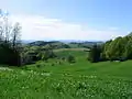 Hügel der Diorit-Granodiorit-Granit-Mischzone zwischen dem Kallstädter- und dem Gorxheimer-Tal (vom Waldskopf aus), im Hintergrund: Rheinebene und Pfälzer Bergland