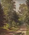 Waldweg in Friedrichsthal