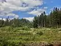 Ein Waldweiher, etwa einen Kilometer östlich der ehemaligen Einöde