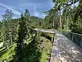 Weg durch den Wald