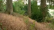 Wallaußenseite zur Fuhseniederung