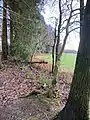 Wallrain am Wanderweg A2 (nördl. Frohnhausen)