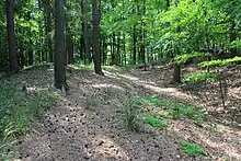 Parallel verlaufende Wall-Graben-Reste im Gipfelbereich des Külmitz