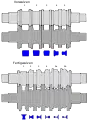 Schematische Darstellung kalibrierter Vor- und Fertigwalzen