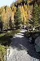Wanderwege am Speikboden