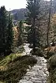 Wanderwege am Speikboden