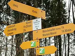 Wanderwegweiser bei Galmacher im Staatswald Galm