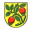 Auendorf