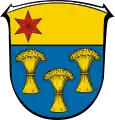 Buchenau