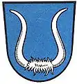Büffelgehörn: (Erichshagen-Wölpe DE)