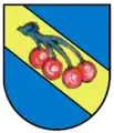 Hepsisau