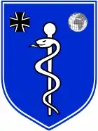Verbandsabzeichen Kdo SanEinsUstg