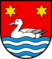 schwimmende Ente