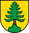 Riniken