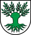 Weide (als Kopfweide)(Widen CH, redend)