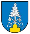 Wildgutach