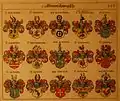 Wappen derer von Jeinsen in Siebmachers Wappenbuch