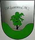 Wappen von Sălbăgelu Nou