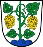 Weinrebe