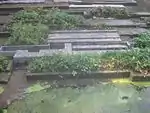 Teich mit Laubsägearbeiten (Mitte).